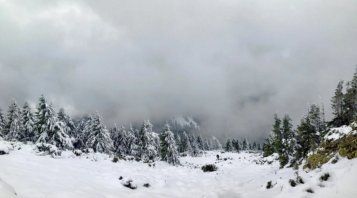 Осенний лес в Карпатских горах